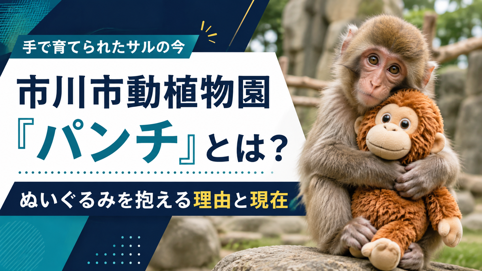市川市動植物園「パンチ」とは?ぬいぐるみを抱える理由と現在の群れ入り状況 ChatGPT Image 2026年8月16日 16 32 04