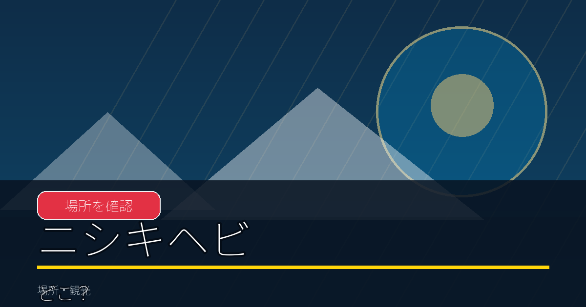 ニシキヘビとは?横浜で逃げたアミメニシキヘビはどうなった?捕獲までの経緯を解説 Article Article 9d405896db 20260813 092818